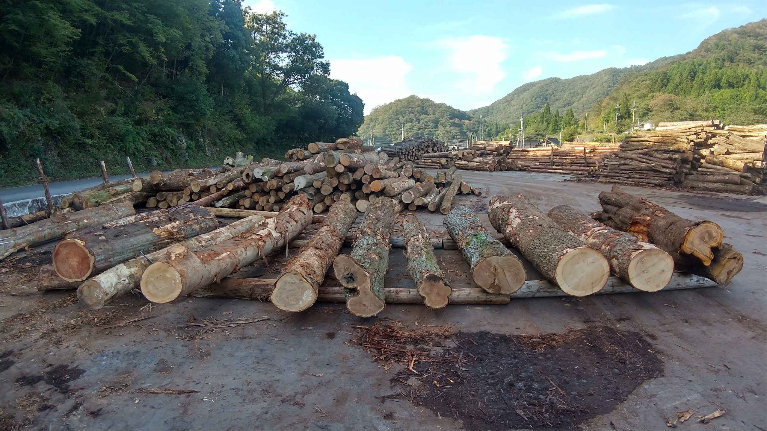 第47回新見地区木材まつり販売分について | 岡山県森林組合連合会｜ヒノキのくに岡山 森と木と人を育てる